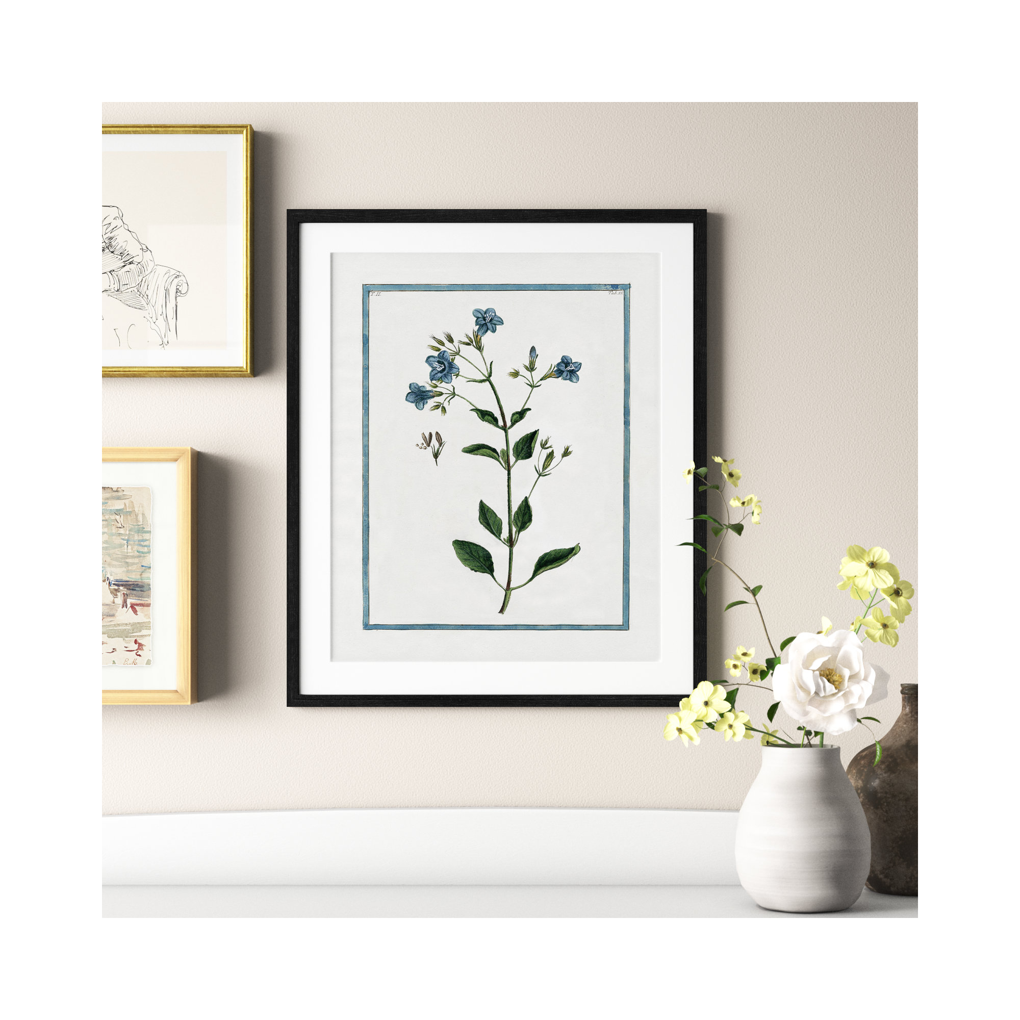 Shabby Elegance Botanical II - Framed Art, Black Framed, 21.5" W x 25.5" H