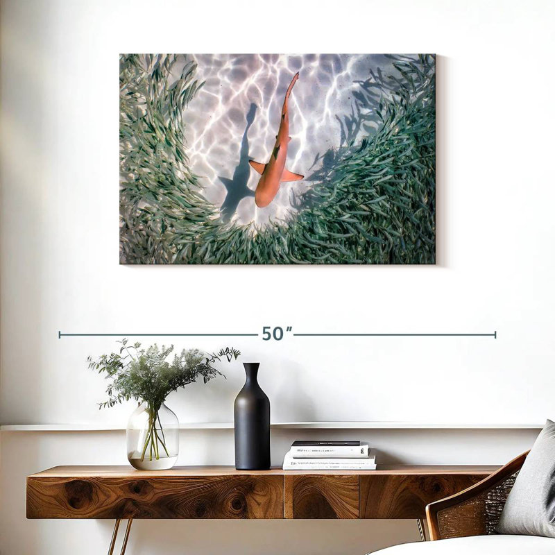 Brampt Baby Blacktip Reef Shark, 24" H x 36" W