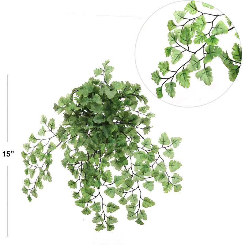 Fougère Maidenhair avec 23 frondes de soie - 23 po de largeur - paquet de 2