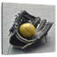 Sirci Softball Pop-109388891