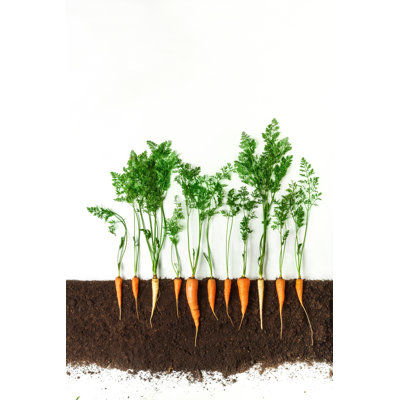 " Growing Plant " by Prostock-Studio