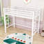 Classic Metal Loft Bed with Dual-Side Ladders-1798008975