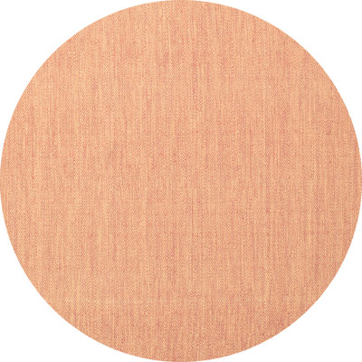Dobrotin Indoor Rug