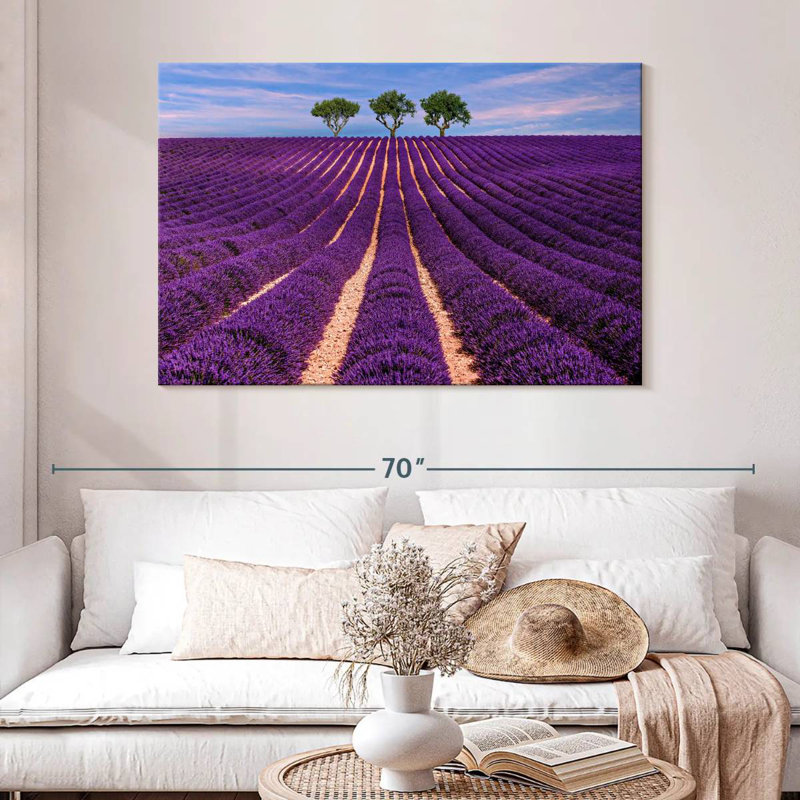 Rangées de lavande Alvord Provence Summer, H 32 po x l 48 po