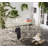 Akeyra 4 - Person Metal Patio Dining Set with Round Table-15630572