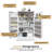 Multi-Functional Storage Cabinet with Adjustable Shelf