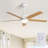 Julicia 52'' Ceiling Fan with LED Lights and Wall Switch-363906768