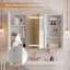 Rectangle Wall Mirror with Cabinet
