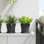 Pot Planter-52013149-52013144