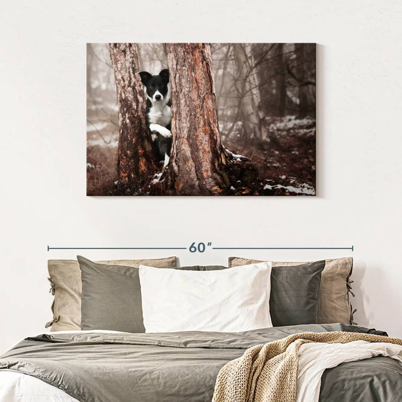 Border collie ludique, H 30 po x l 45 po