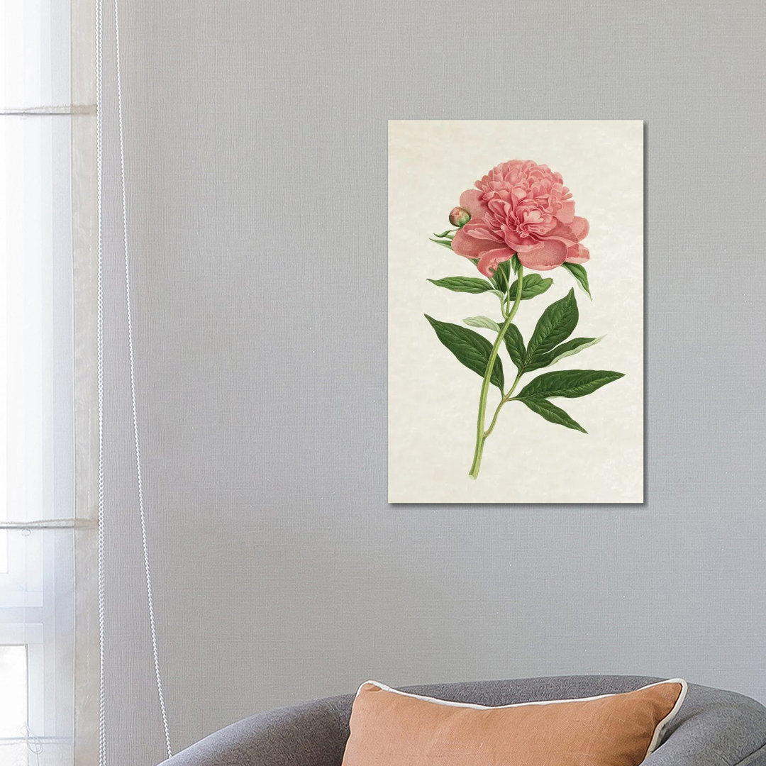 Vintage Rose von Amelie Vintage Co - Gallery-Wrapped Canvas Giclée on Canvas