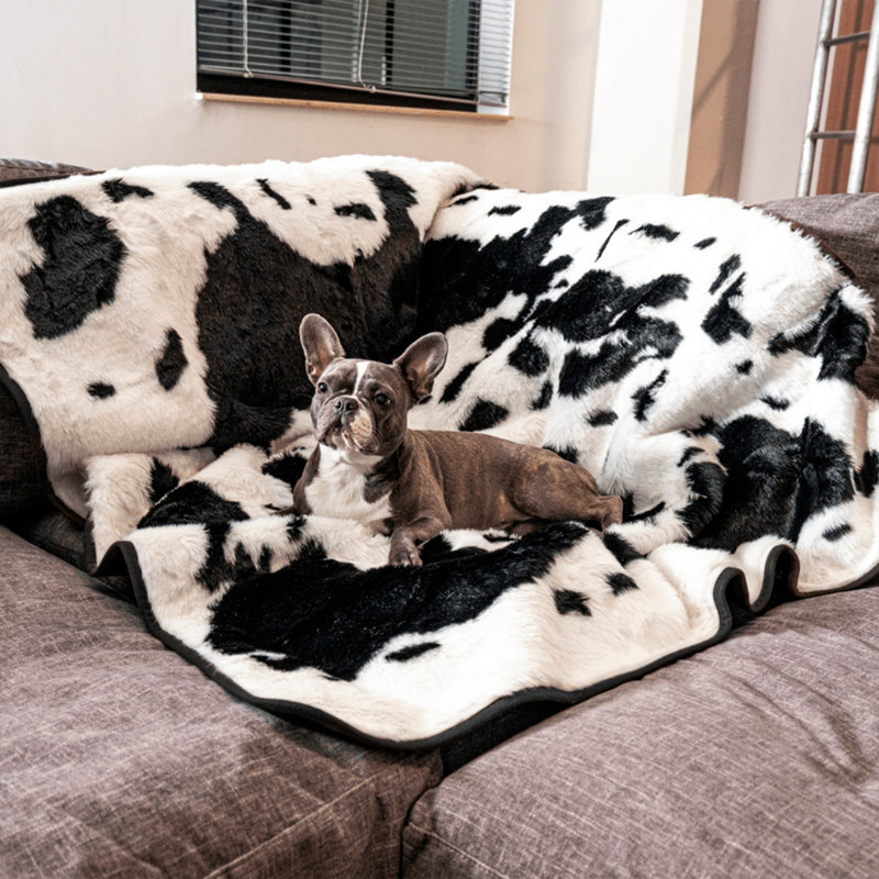 King Size Black and White Faux Fur Pet Blanket