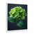 White Single Picture Framed