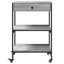 Dwyce Metal Bar Cart-1602415009