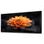 Dahlia noir et jaune en photo monochrome - art mural Dahlia-631516019-736946674