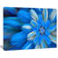 "danse exotiques des pétales de fleurs bleues" , impression sur toile-20862949