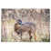 Tapis Deer