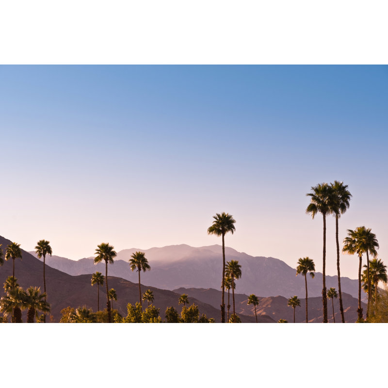 Palm springs, 61cm H x 91cm W