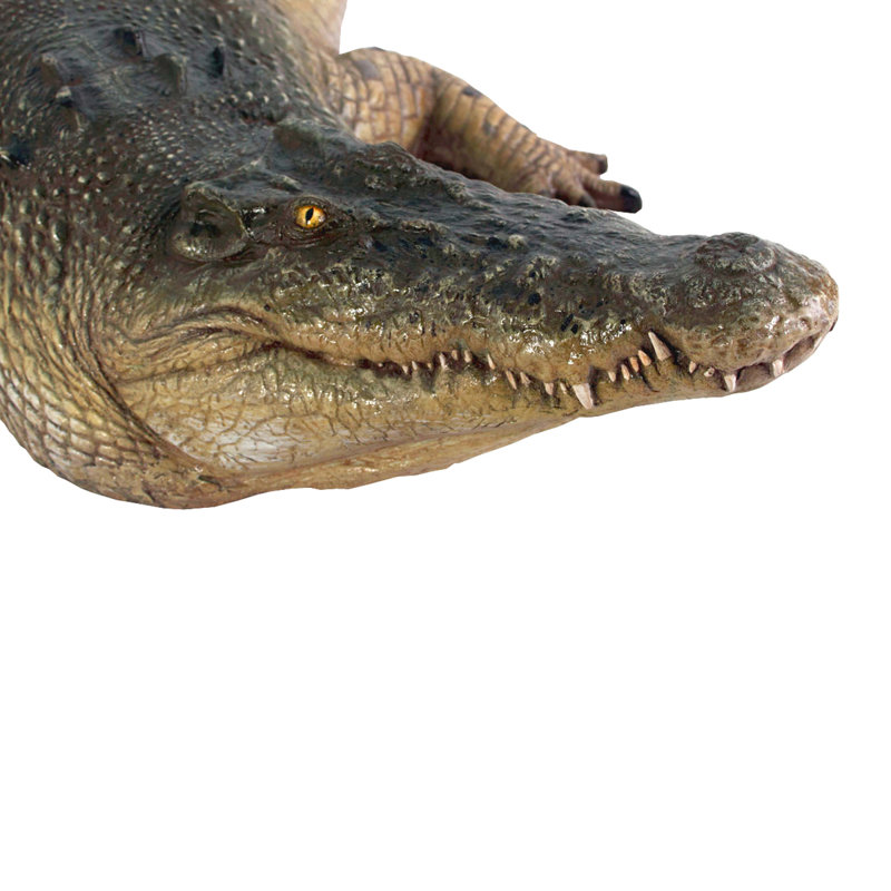 Statue crocodile des zones humides tropicales