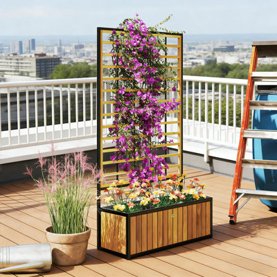 Lit de jardin surélevé en bois avec treillis