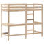 Bingham Hawn Loft Bed-818040275