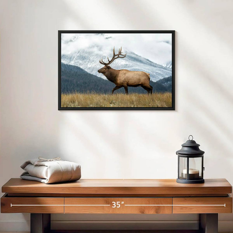 Brampt Mountain Bull Elk, 13" H x 19" W