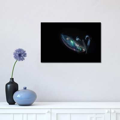 A Reef Squid Hovers Above The Sandy Bottom Of The Ocean II by Brook Peterson - Wrapped Canvas Print
