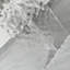 Svanborg-786125997