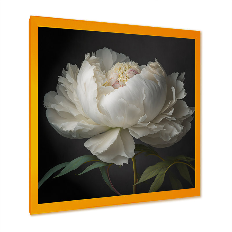 Blooming White Peony VI - Art mural pivoine, H 30 po x l 30 po, Impression encadrée, Doré