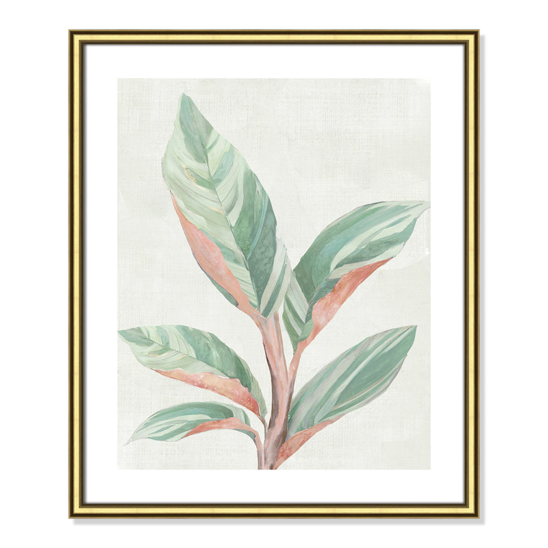 Gingembre II - reproduction d'art, Papier encadré doré, H 25,5 po x l 21,5 po x P 0,88 po