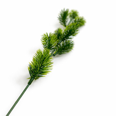 45 Plant