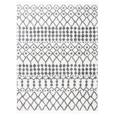 Berber Fringe Shag Performance Southwestern Rug
