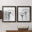 WINDSWept Poppy I - Ensemble de 2 reproductions de cadres photo sur toile-457560647-457560648
