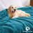 Luxury Double-Sided Mink Flannel Fleece Throw Blanket-124423770-124423773
