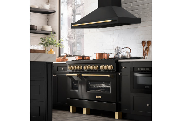 moody black kitchen appliances with metallic knobs