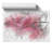 Japanese Maple Tree - Unframed Drawing-61994099