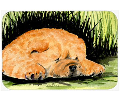 Chow-chow brun et planche à découper en verre vert
