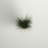 Gazon vert en pot Kellan-22996677
