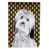 Bichon havanais