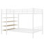 Lit superposé simple au-dessus de double avec tablettes à 5 niveaux Faer, cadre de lit superposé en métal Faer-571795222