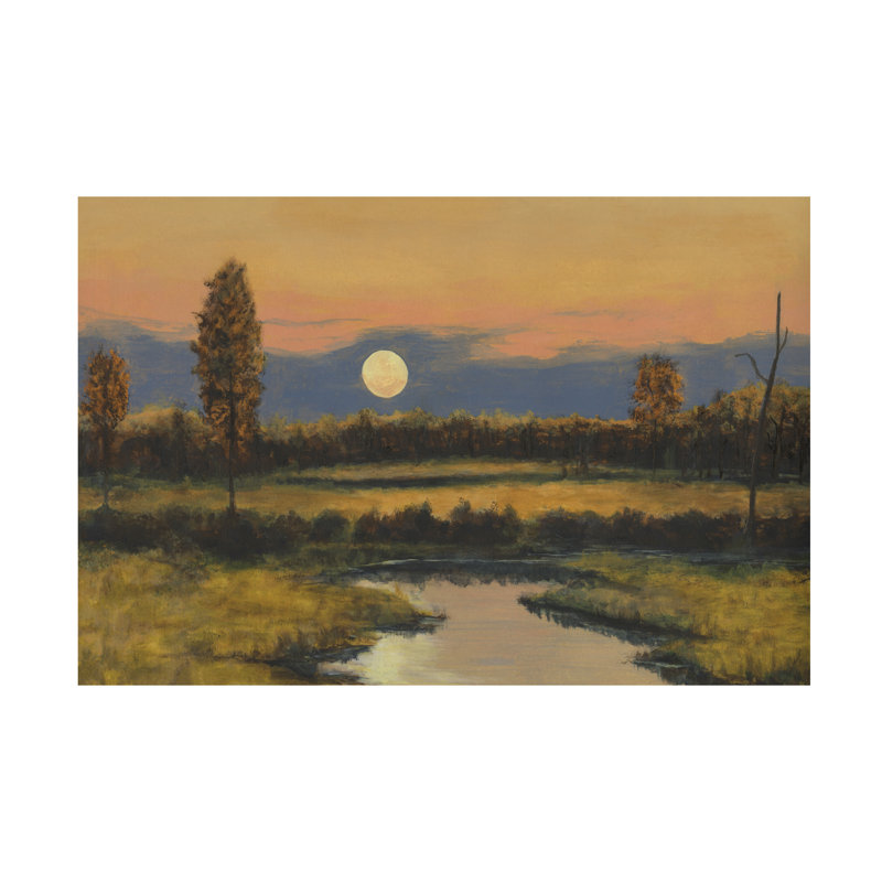 Art mural sur toile tendue - "Moon Moon" par Michael Willett pour décoration de salon, de chambre à coucher ou de bureau - 16 x 24