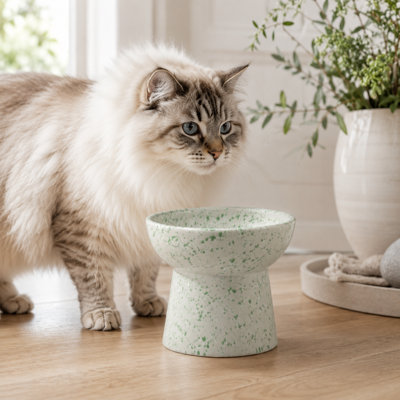 Bol pour chat en céramique moucheté surélevé, protège-cou surélevé pour chats et petits chiens, vert moucheté