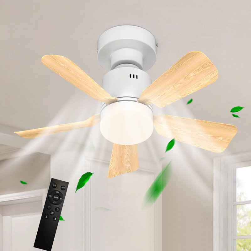 Skylan 45cm 5 - Blade E27 Socket Ceiling Fan with LED Light and Remote, White