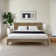 Allyannah Levison Platform Bed With Headboard