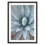 Agave by Amanda Anderson-1655962094-1655962089