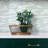 Linear Wall Tile