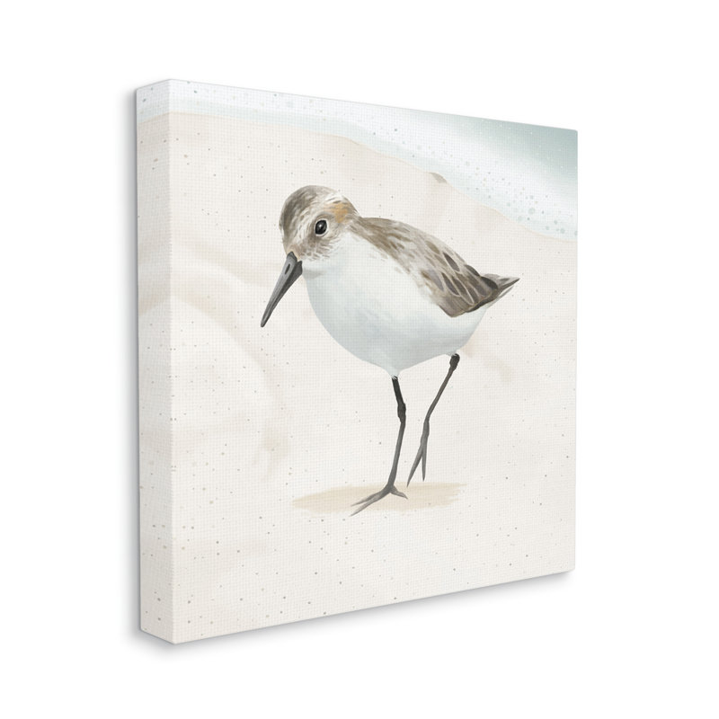 «Stepping Sandpiper Bird Ocean Shoreline Beach Scene» par Lucca Sheppard - impression sur toile tendue