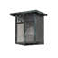 Hyde Park Sprig 1 - Light Outdoor Wall Lantern