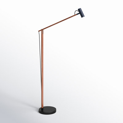 Dalila 60.5'' LED Task Floor Lamp