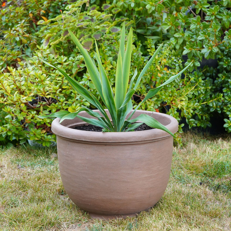 Pot à plante en résine Agave, H 17,25 po x l 21,73 po x P 21,73 po, Noir caviar